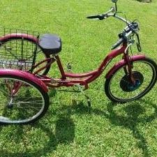 3 Wheel Scherwin Bike