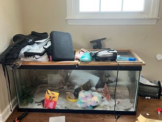 Large Glass tank