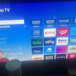 32 Inch Roku Tv  Comes With Remote 