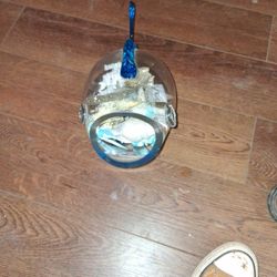 Fish Vase