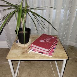 Side Table Plant Stand