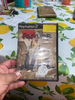 PlayStation 2 video game 25 to life