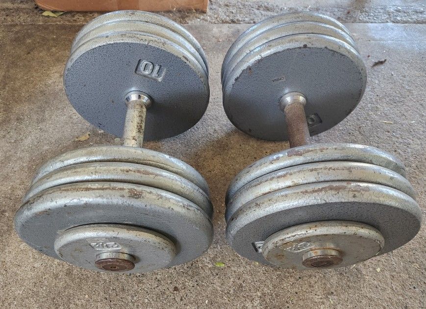 65 Pound Pro Style Fixed Dumbbells