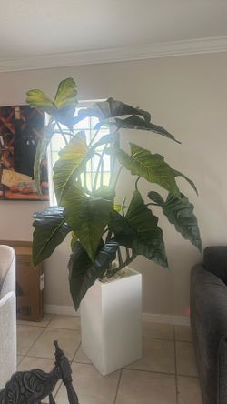 Planta Artifiacial Alocasia