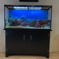 Fish Tank and Storage
