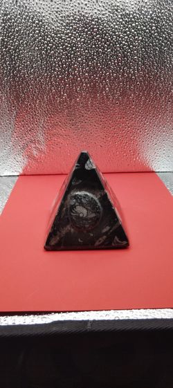 Pyramid Orthoceras With Ammonit Fossil 