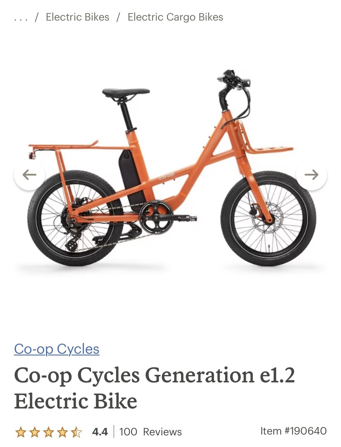 Electric Bike