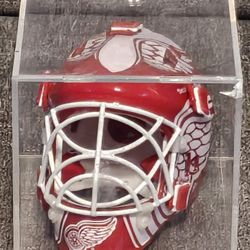Detroit Red Wings Mini Helmet In Case