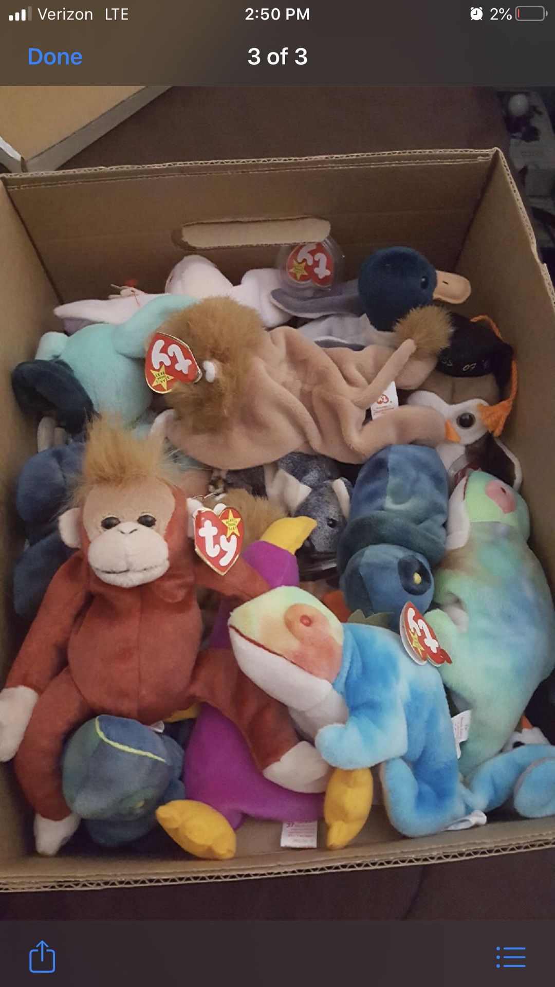 Collectible Ty beanie babies