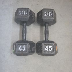 45 Pound Dumbbells (2)