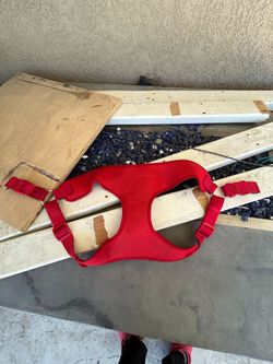 Dog Harness