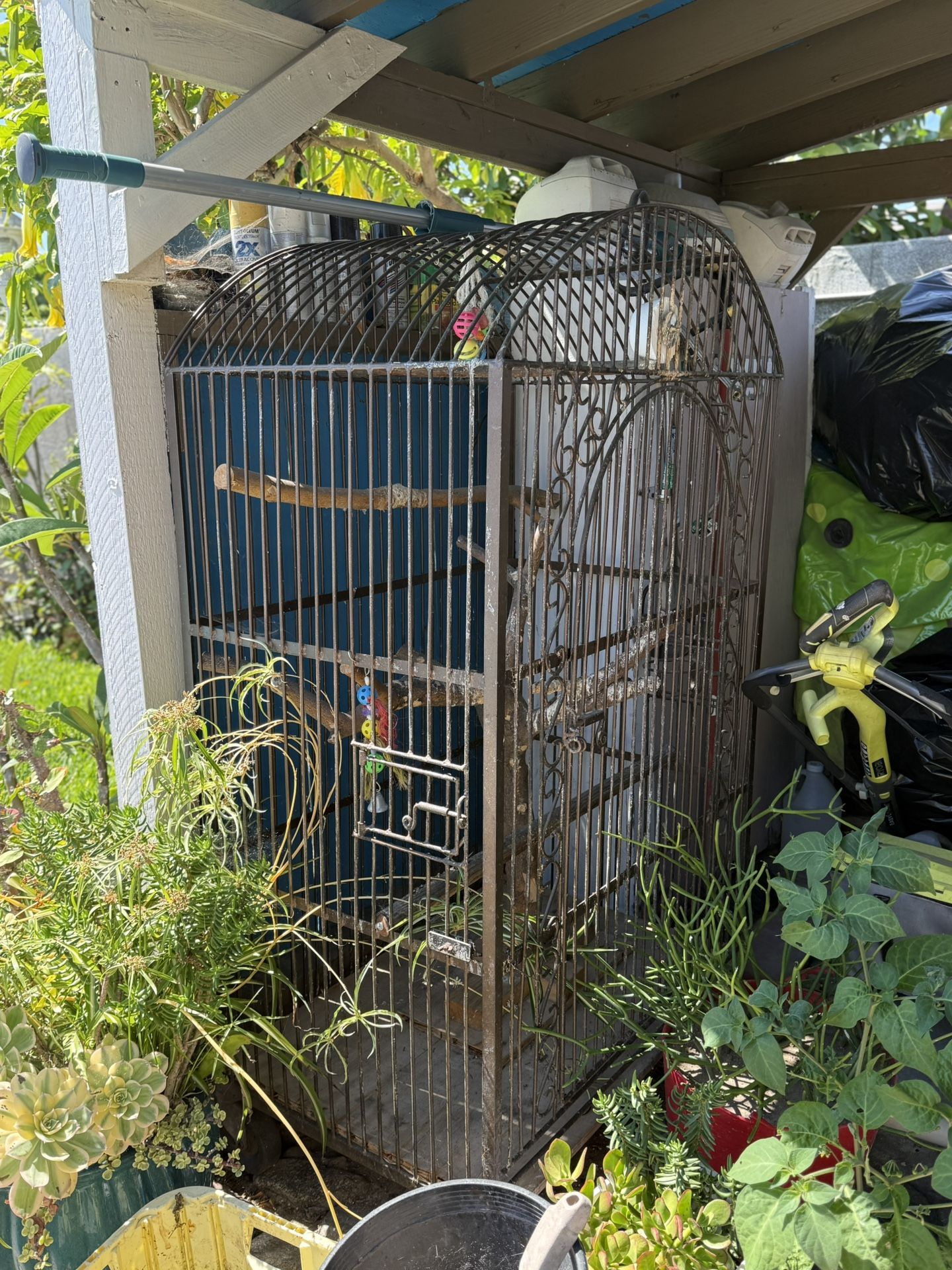 Big Bird Cage