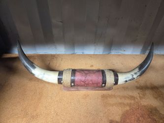 Mounted Longhorn Steer Horns Wall Decor