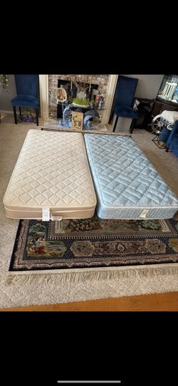 2 Twin Mattress 