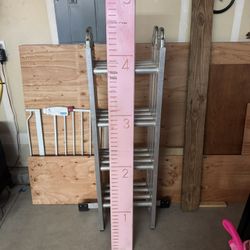 Growth Ruler
