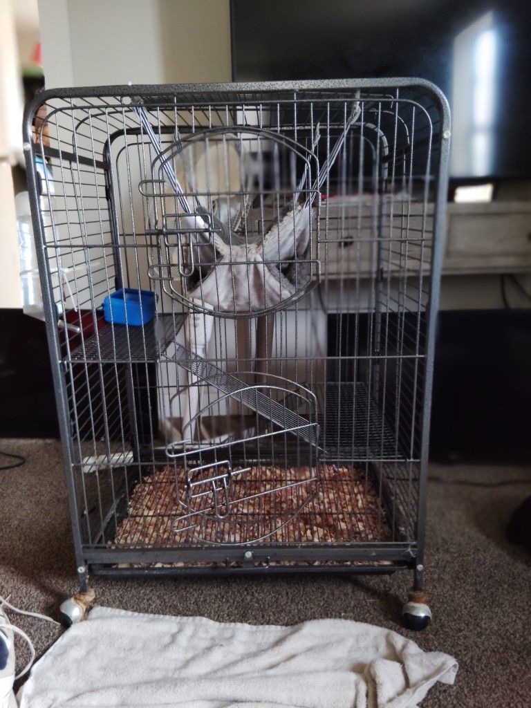 Nice Cage For Small Animal