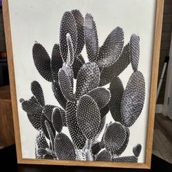 Cactus Picture Frame 