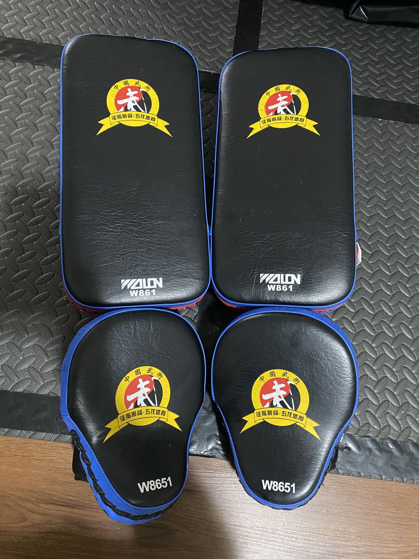 Boxing Pads & curved Mitts