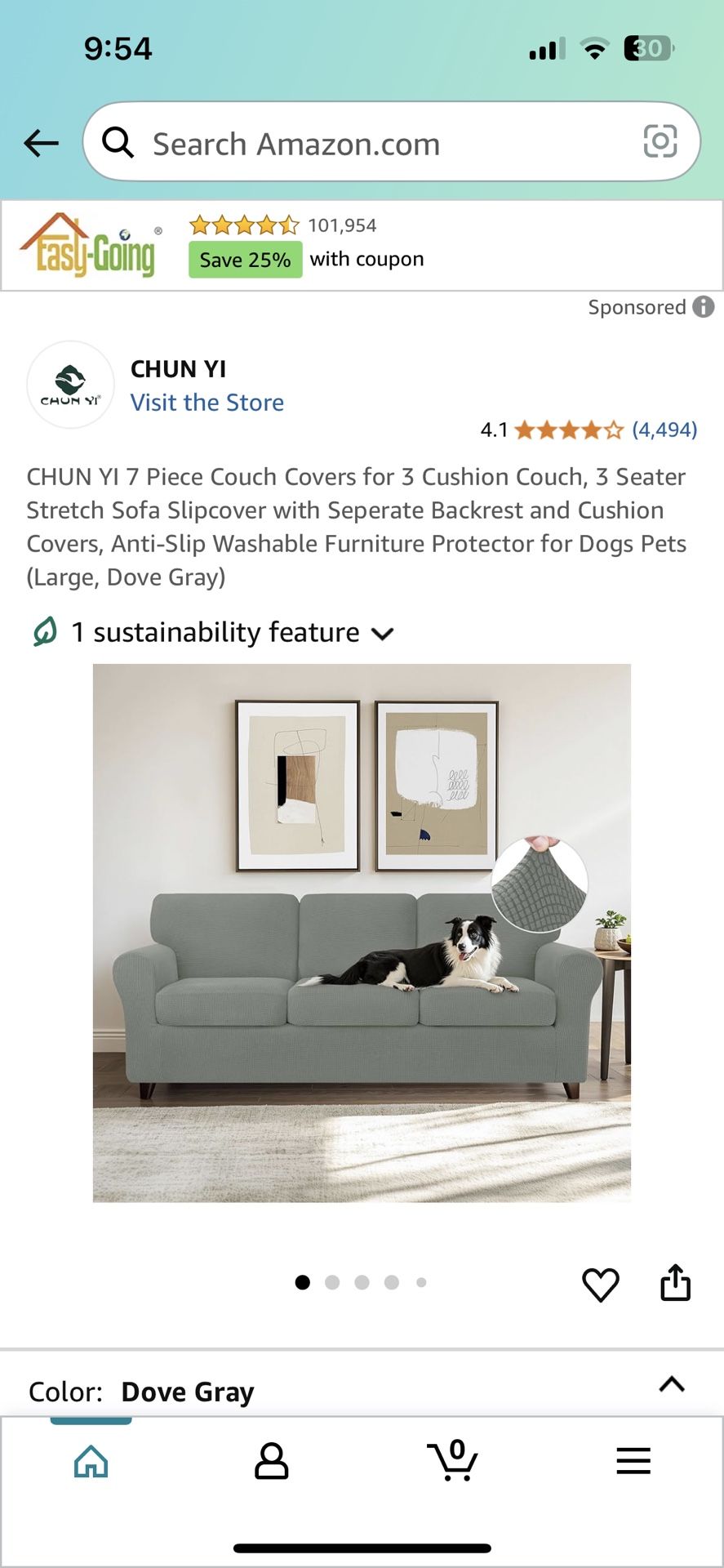 Stretch Sofa Cover