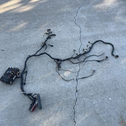 LS Harness Stand Alone