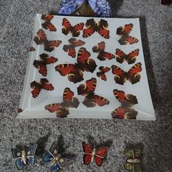 Butterfly Lovers