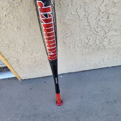 Baseball Bat "31"