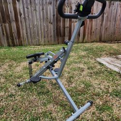 Sunny Health & Fitness Row-N-Ride Squat Assist Trainer