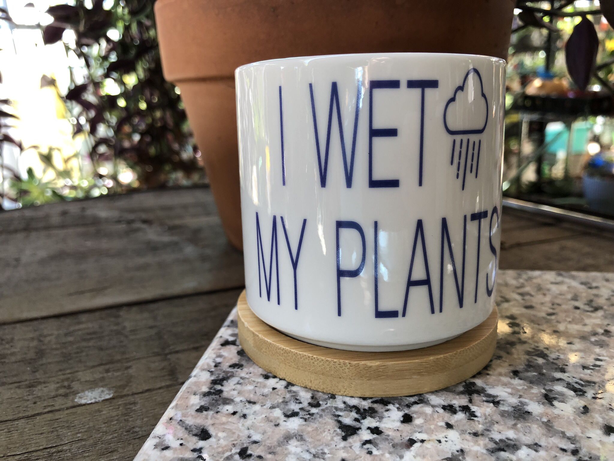 I Wet My Plants Ceramic Pot 