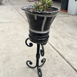 Potted Plant 