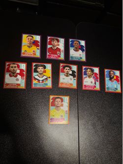 Special Panini World Cup Stickers