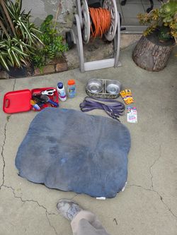 Dog care items