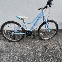 GIRLS  GIANT LIV BICYCLE 24 INCH BIKE.. 