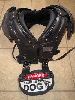 Vicis shoulder pads