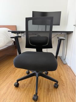 Ergonomic Mesh Office Chair / Adjustable Arms & Lumbar Support