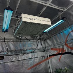 Blackdog Phytomax 2 600 LED Grow Light