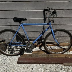 Novara Aspen Vintage Mtb (read Description)