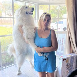 Animal Care Specialist 