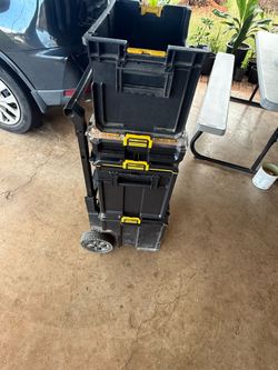 Dewalt 2.0 pack out