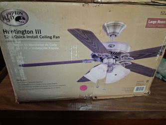 Fan