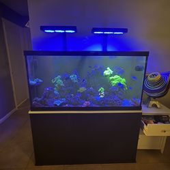 90 gallon glass aquarium stand and sump
