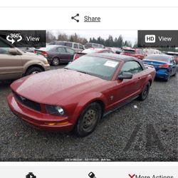 2009 Ford Mustang