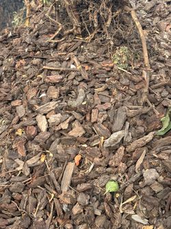 6 yd.³ of wood chips can deliver in El Cajon area