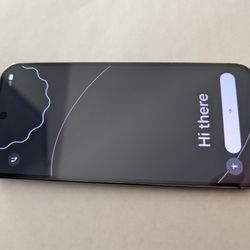 Google Pixel 9 Pro Xl 