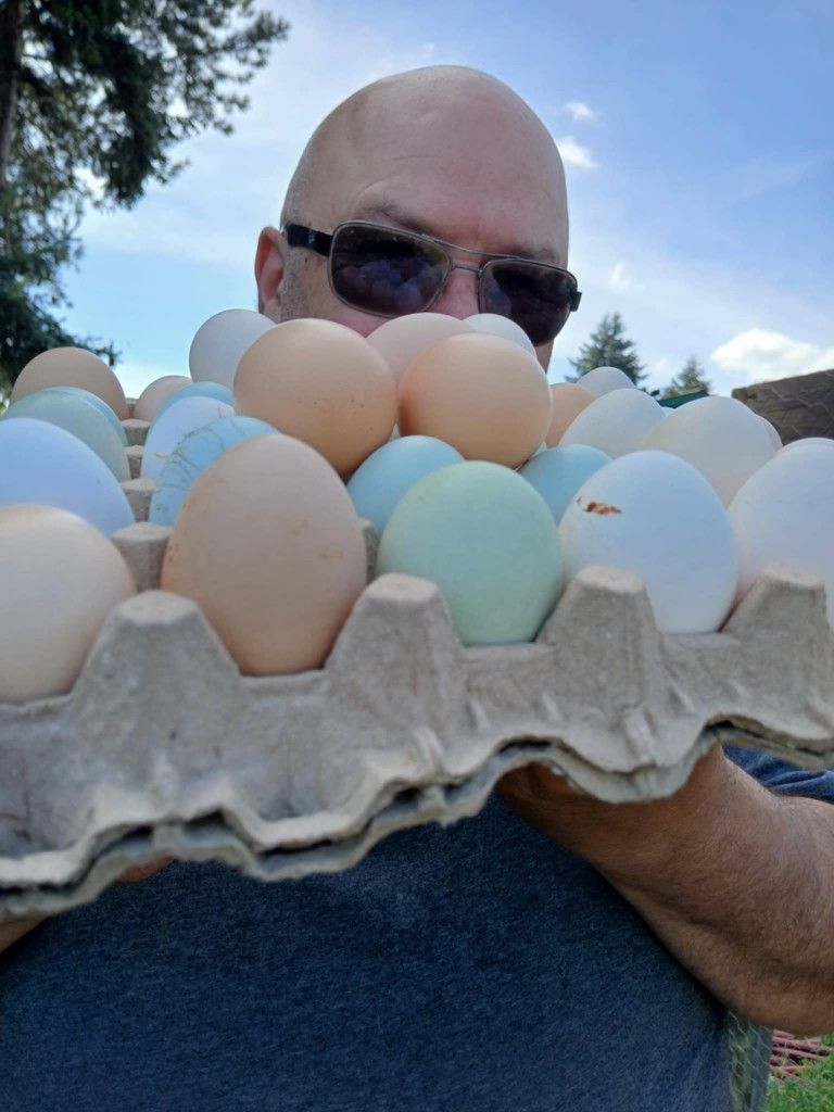 Eggs