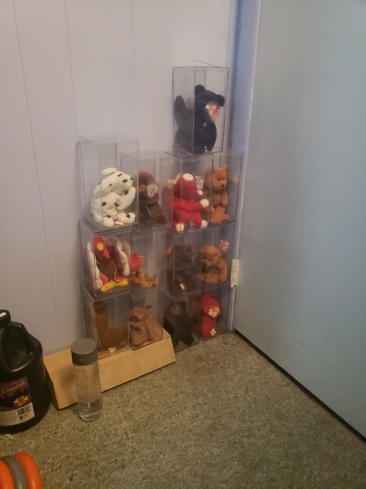 beanie babies in excellent cond
