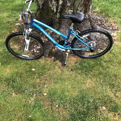 24” Schwinn Mountain Bike
