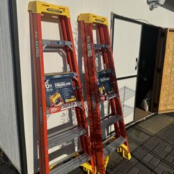 6ft Fiberglass Ladder 