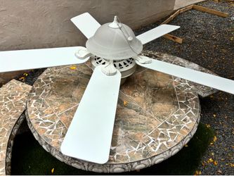 Fan