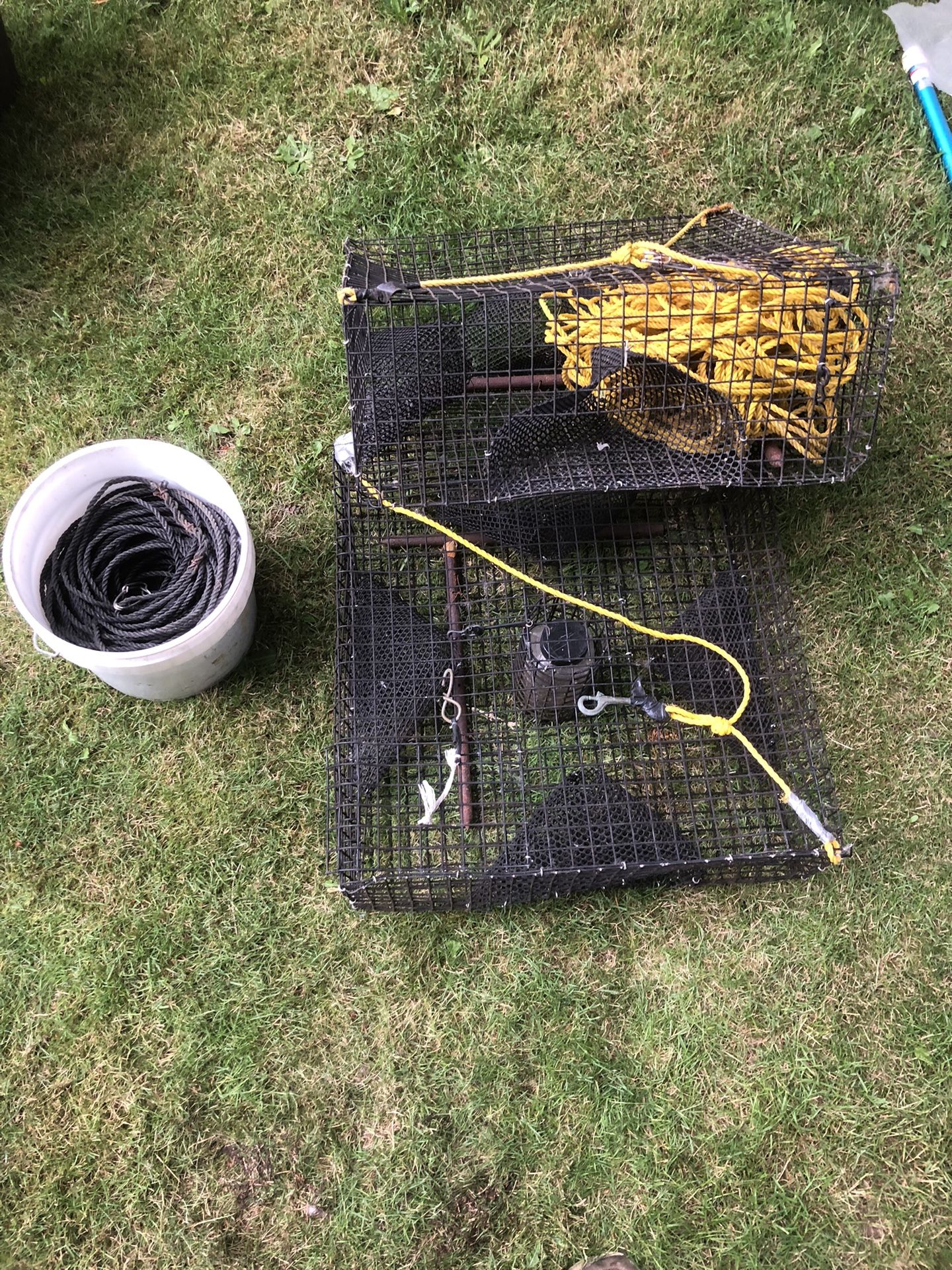 2 Shrimp Pot