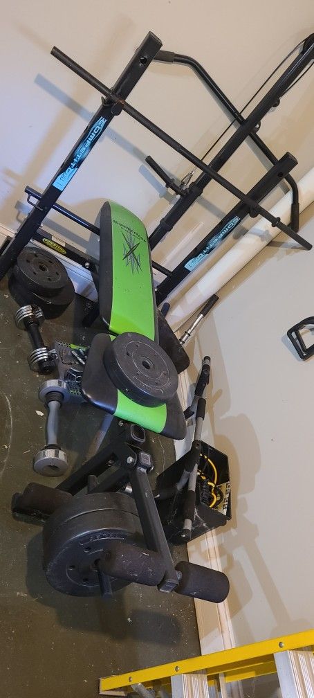 Weights / Gym Set